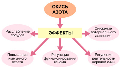 hyperbaric chamber in aesthetic medicine 03