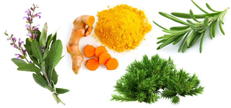 wraps made of herbs 01