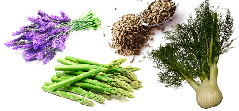 wraps made of herbs 03